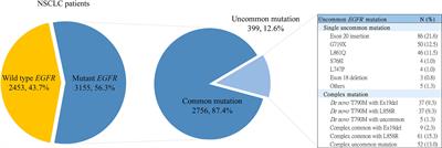 Association of smoking status with non-small cell lung cancer patients harboring uncommon epidermal growth factor receptor mutation